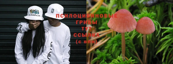 mix Арсеньев