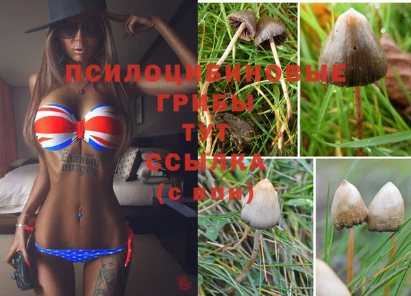 бутират Аркадак